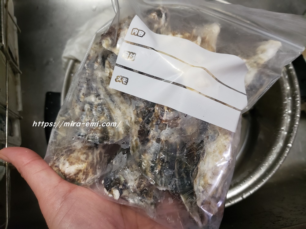 牡蠣を冷凍用の袋に入れる